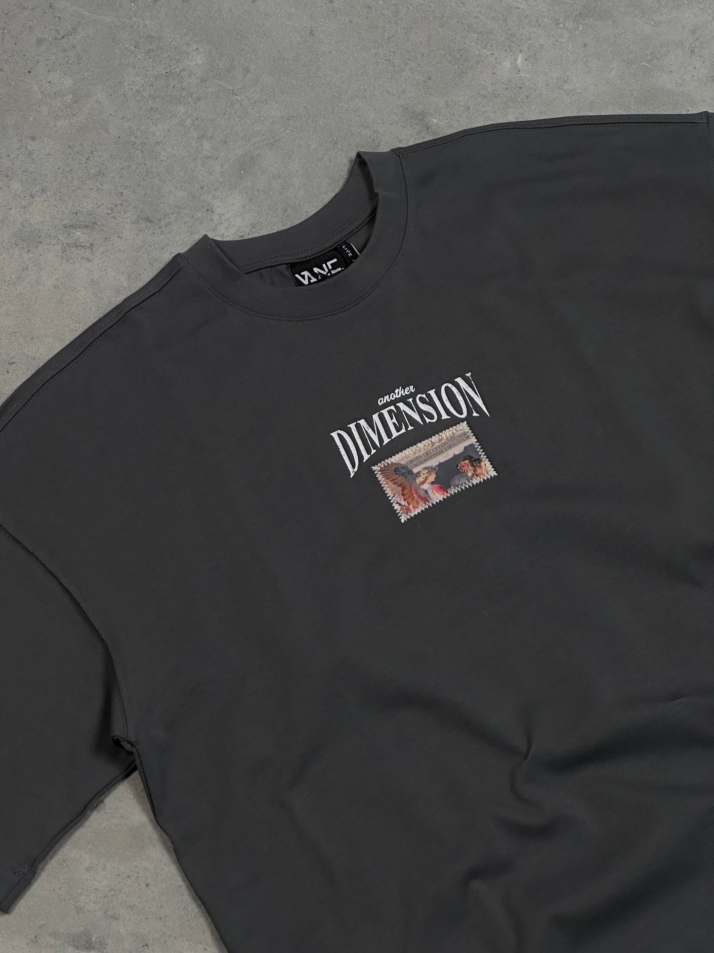 Dimension Baskılı Füme Oversize T-Shirt